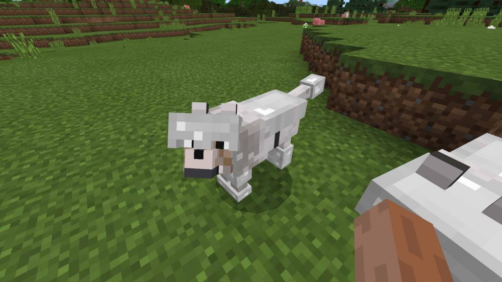 Armored Wolf Addon – Minecraft 1.2