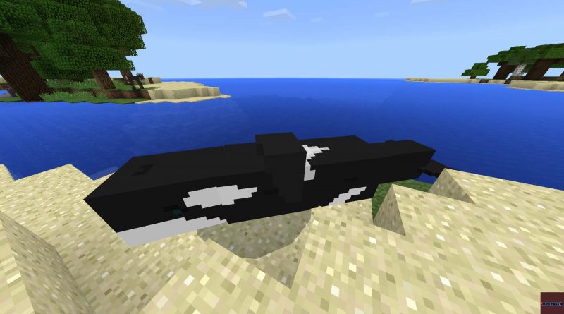 Mcpe orca addon  MCPE Mekanı