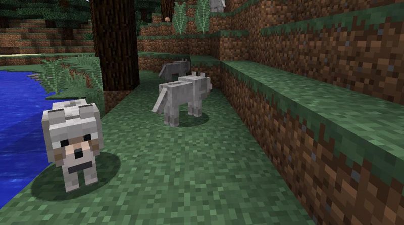 More Wolves Addon – Minecraft 1.2 (MCPE)